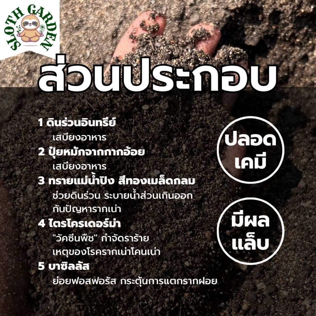 ดินร่วนปนทราย ผสมปุ๋ยหมัก ปลูกต้นอะไรก็ได้ รากเดินง่าย ระบายน้ำดี อินทรีย์วัตถุสูง ดินแคคตัส ดินเพาะเมล็ด รูปที่ 2