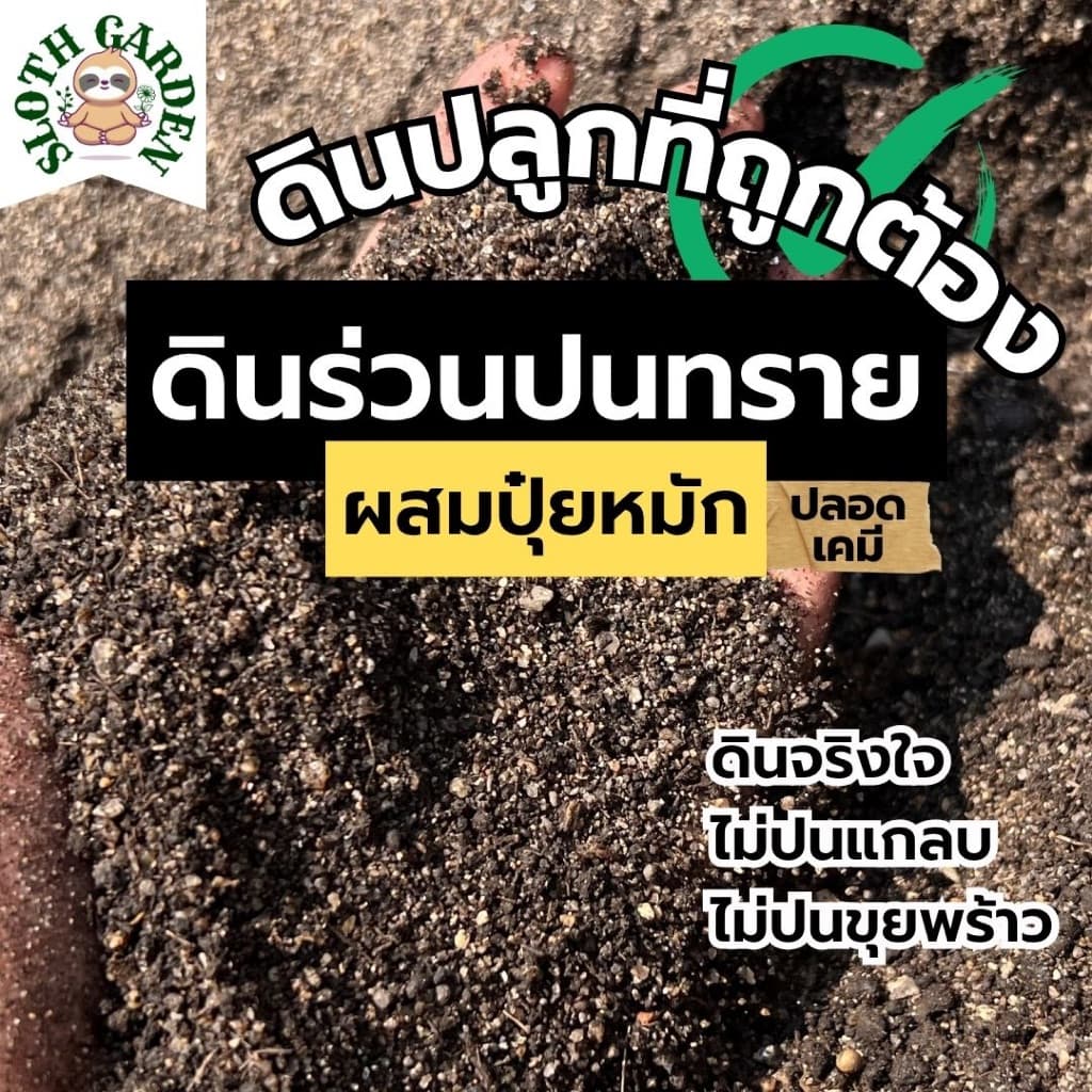 [ส่งเร็ว] ดินร่วนปนทราย ผสมปุ๋ยหมัก ปลูกต้นอะไรก็ได้ รากเดินง่าย ระบายน้ำดี อินทรีย์วัตถุสูง ดินแคคตัส ดินเพาะเมล็ด