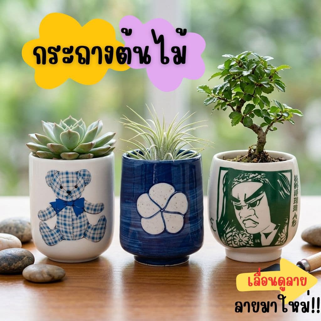 กระถางเซรามิกญี่ปุ่นมือสอง มาใหม่ กระบองเพชร stock E รูปที่ 1