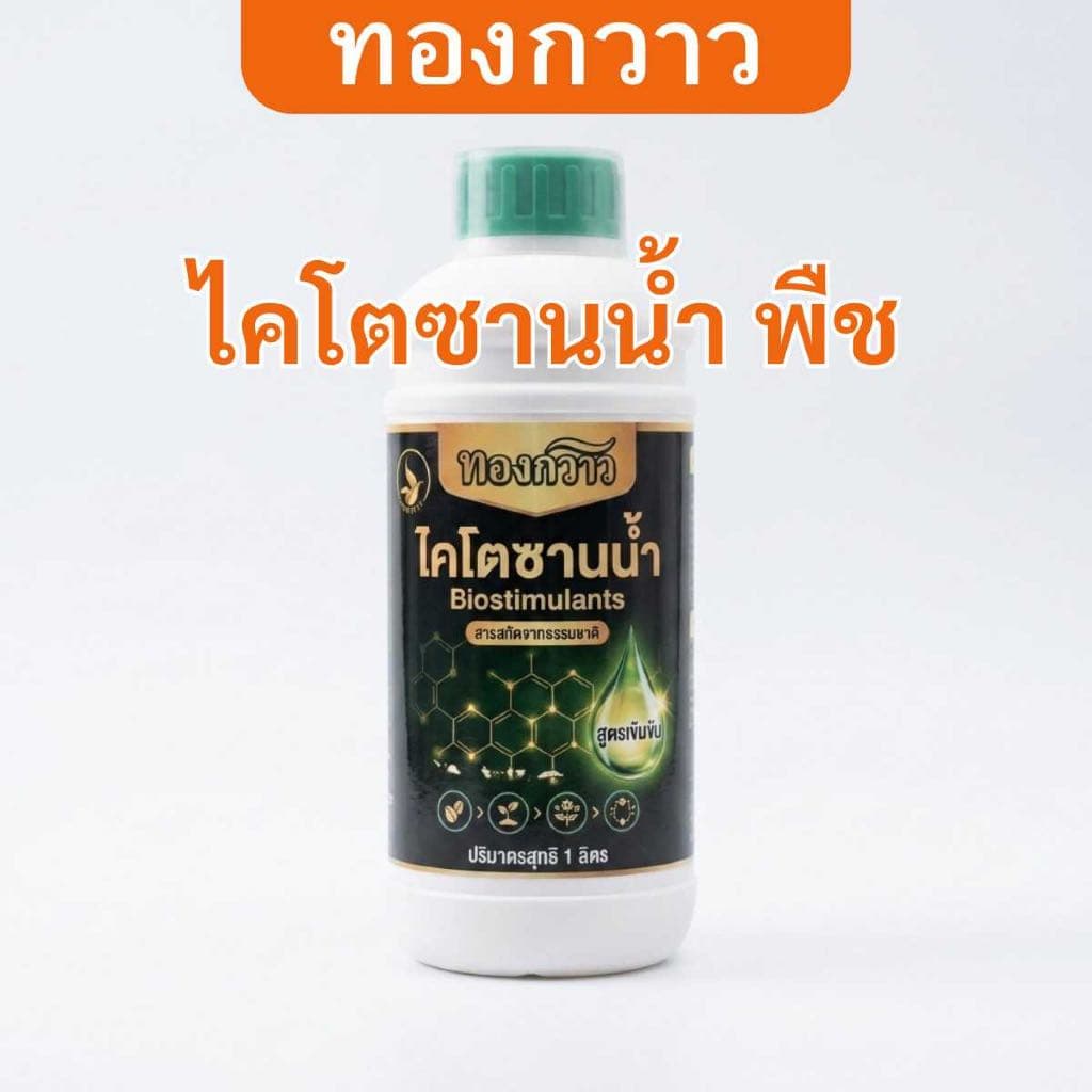 ไคโตซานน้ำ พืช ตรา ทองกวาว สกัดเข้มข้น สินค้าคุณภาพ รูปที่ 1