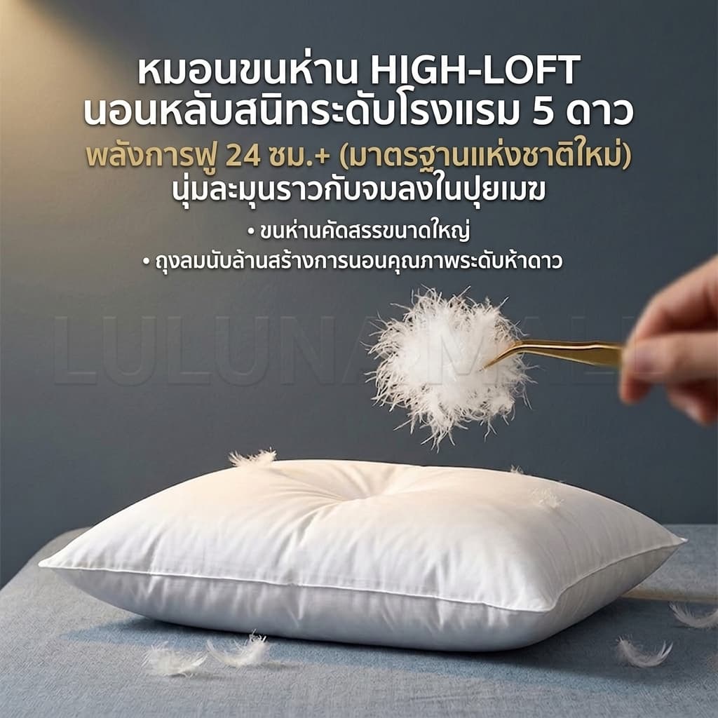 LULUNA หมอนหนุน หมอนขนห่านธรรมชาติแท้ ระดับโรงแรม 5 ดาว ป้องกันไรฝุ่น รองรับต้นคอ นุ่มฟู หลับสบาย รูปที่ 9