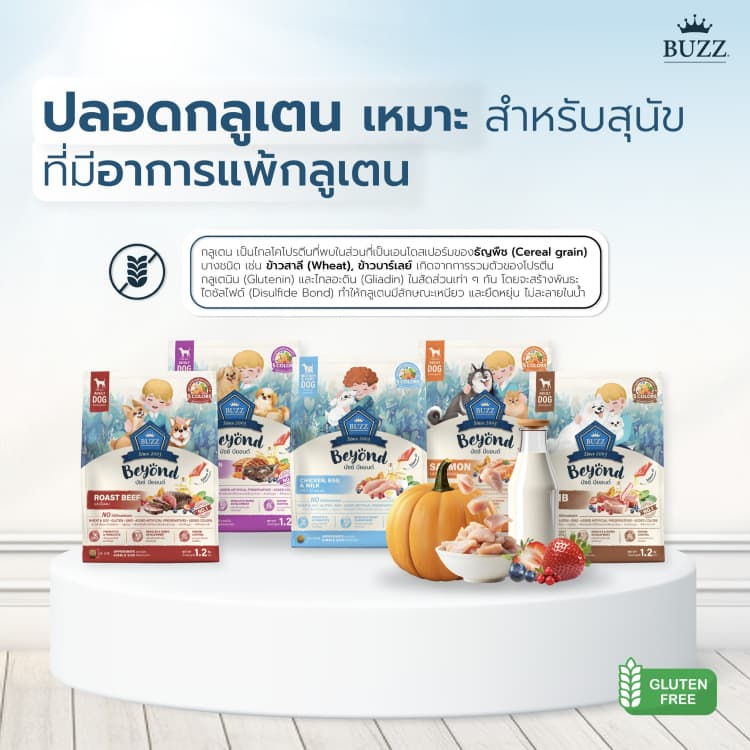 { ล็อตใหม่ } Buzz Beyond อาหารสุนัข บัซซ์ บียอนด์ หมาโต ลูกหมา แซลมอน เนื้อ ไก่ตับ แกะ ขนาด 1 - 1.2 กิโลกรัม รูปที่ 6
