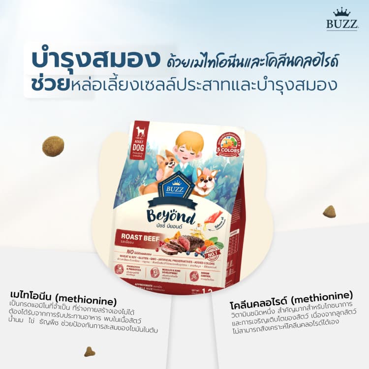 { ล็อตใหม่ } Buzz Beyond อาหารสุนัข บัซซ์ บียอนด์ หมาโต ลูกหมา แซลมอน เนื้อ ไก่ตับ แกะ ขนาด 1 - 1.2 กิโลกรัม รูปที่ 7