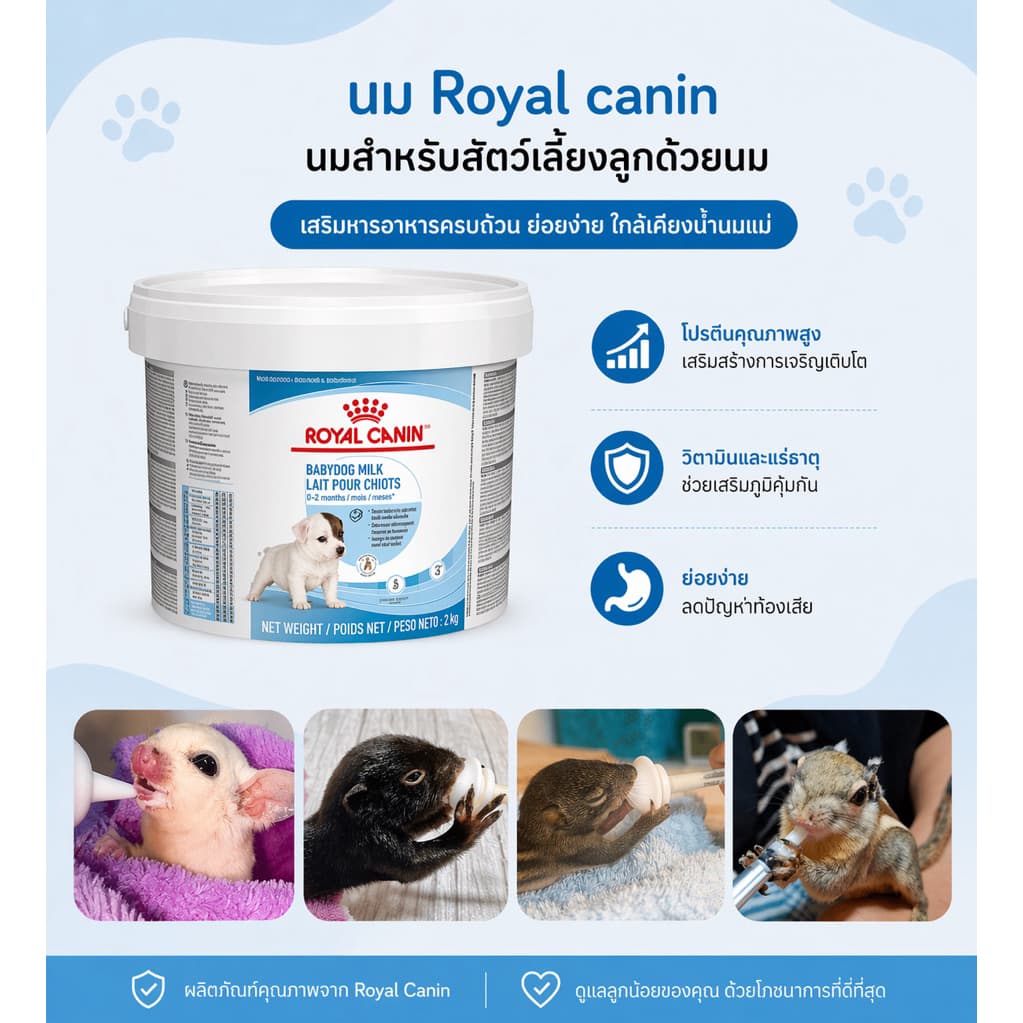 Royal canin baby dog milk 100 g. รอยัลคานิน นมผงทดแทน นมลูกสุนัข ชูการ์ไกลเดอร์ กระรอก แบ่งขาย 100 กรัม exp. 08/10/2026 รูปที่ 1
