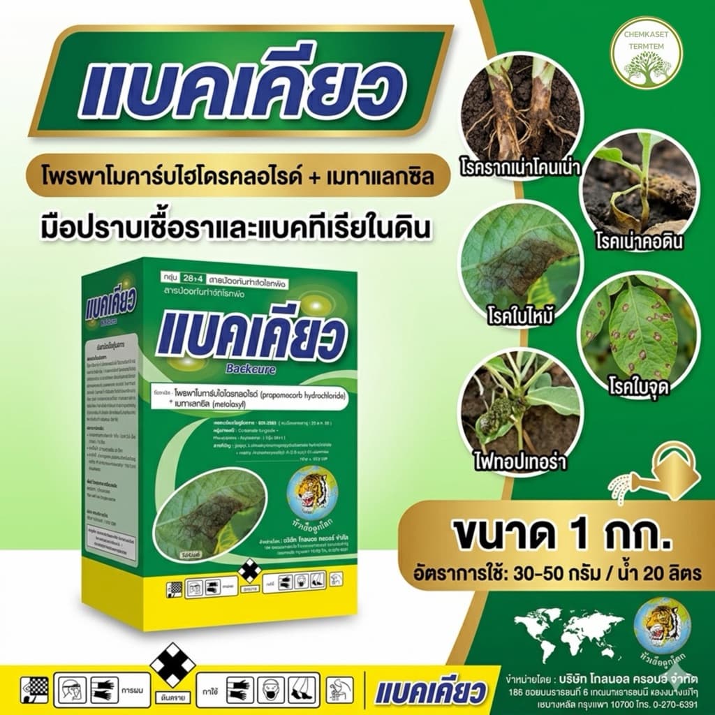 แบคเคียว ขนาด 1 กิโลกรัม สารป้องกันกำจัดโรคพืช ใบไหม้ รากเน่า โครเน่า ไฟท็อป รูปที่ 1