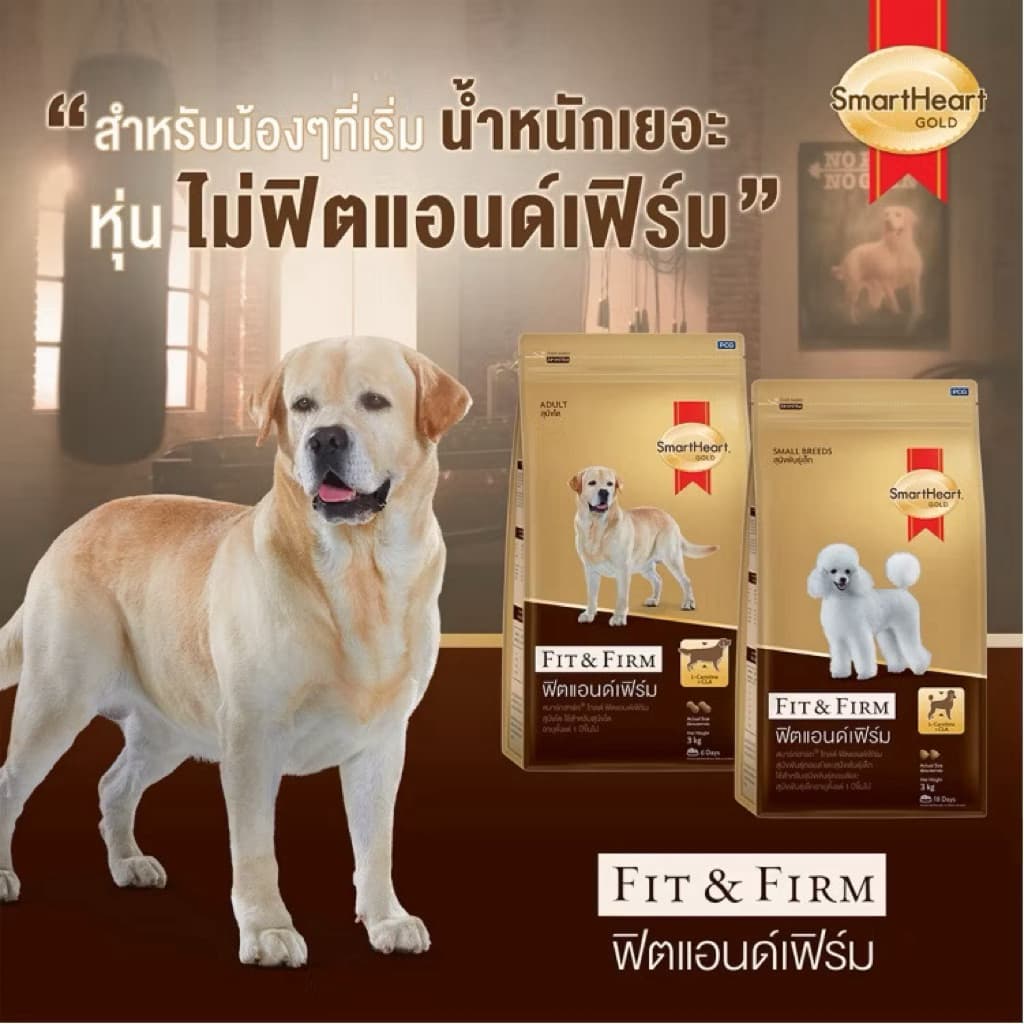 SmartHeart Gold Fit & Firm 10kg อาหารสุนัขเกรดพรีเมียม สูตรสุนัขโต & พันธุ์เล็ก รูปที่ 2