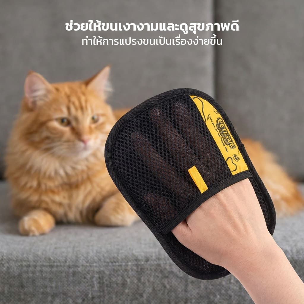 ถุงมือกำจัดขนสัตว์เลี้ยง PETLOVE กำจัดขนแมว ขนสุนัข ใช้ได้กับมือทั้งซ้ายและขวา สามารถใช้งานซ้ำได้หลายครั้ง รูปที่ 8