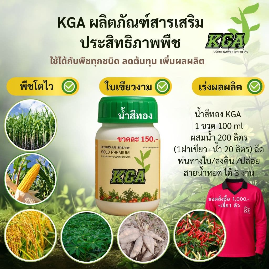 KGA อาหารพืชทางใบ ผงดำ 100 ซอง แถมน้ำสีทอง 1 ขวด รูปที่ 2
