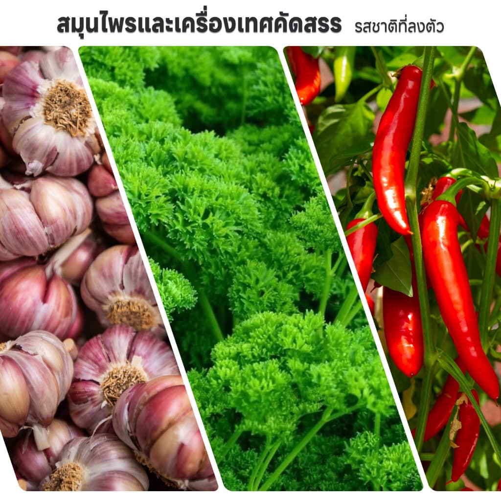 LUGANANA เกลือกระเทียมพาร์สลีย์รสเผ็ด 110g*2 เกลือปรุงรสสไปซี่จัดจ้าน สเต็ก หมูกระทะ บาร์บีคิว รูปที่ 7
