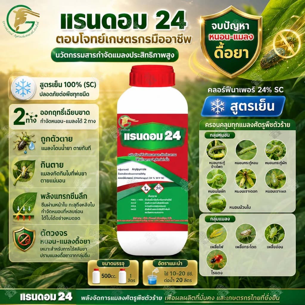 แรนดอม 24 คลอร์ฟีนาเพอร์ 24% SC หนอนกระทู้ หนอนเจาะ หนอนดื้อยา เพลี้ยไฟ ไรแดง รูปที่ 1