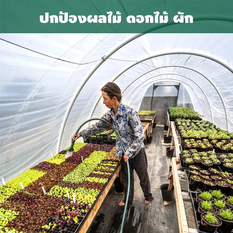 มุ้งขาวกันแมลง มุ้งขาว มุ้งขาวโรงเรือน 32ตา/40ตา/60ตา มุ้งกันแมลงผัก ตาข่ายกันแมลง มุ้งโรงเรือน กันแมลง มุ้งปลูกผัก รูปที่ 8