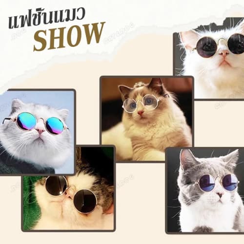Pet Record แว่นตาสัตว์เลี้ยง แว่นแมว แว่นสุนัข กันลม กันฝุ่น ดีไซน์น่ารัก แถมฟรีสายคล้องแว่นกันลื่น รูปที่ 7