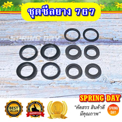 ชุดซ่อมปั๊มเครื่องพ่นยา 767 ชุดซ่อมปั้มเครื่องพ่นยา 767 อะไหล่เครื่องพ่นยา 767 รูปที่ 2