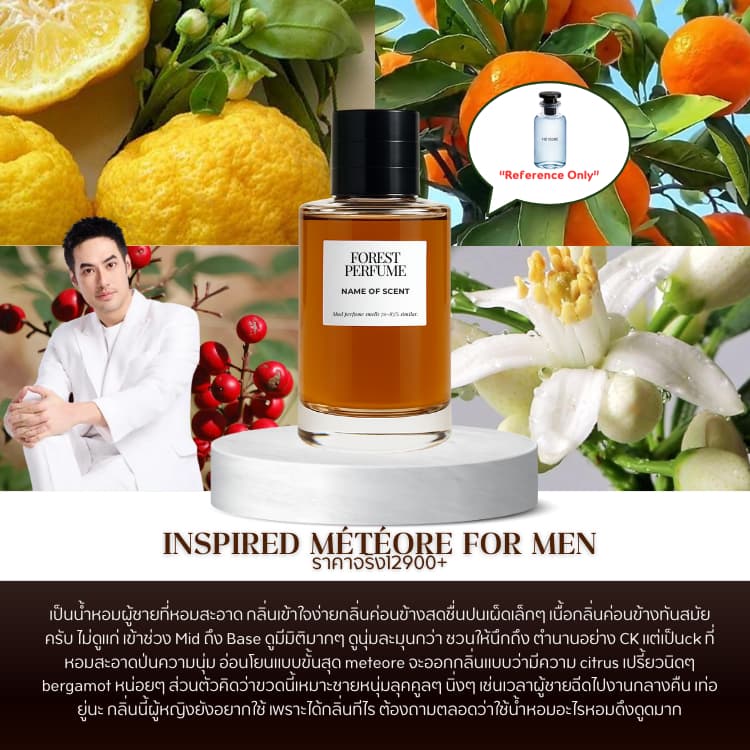 น้ำหอม FOREST- Inspired by Meteore for men - ขนาด 50ML รูปที่ 2