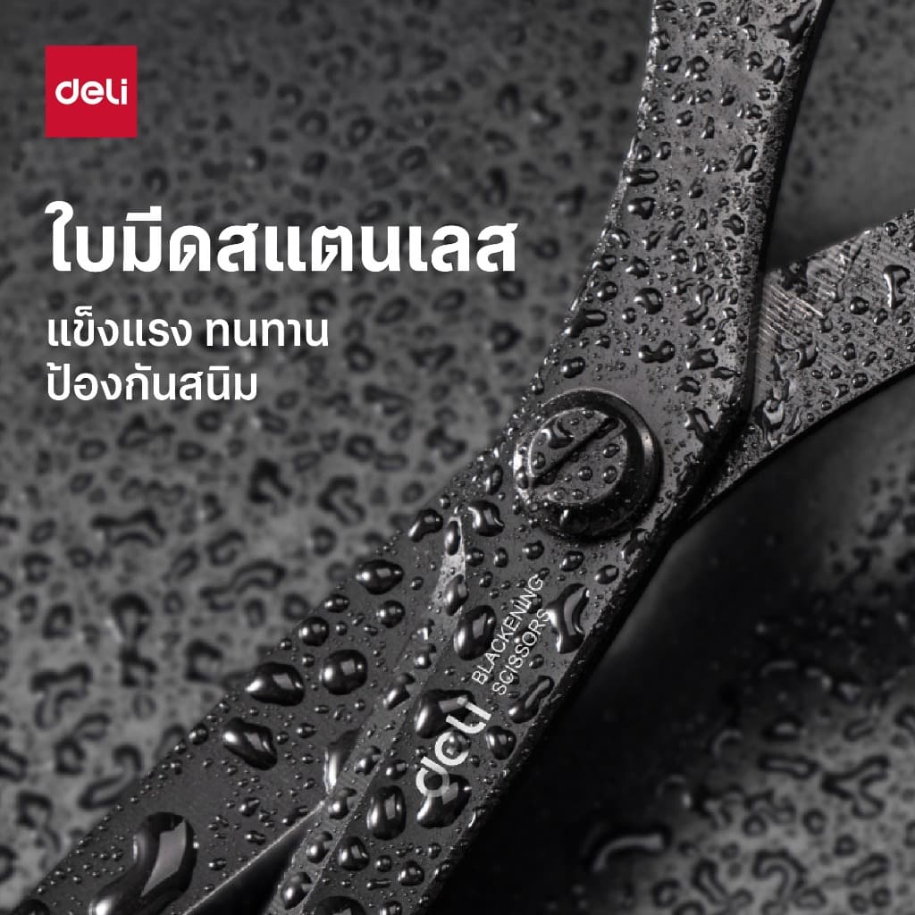 Deli กรรไกรสแตนเลส เคลือบดำกันสนิม กรรไกรอเนกประสงค์ ตัดกระดาษ ขนาด 210mm Scissor จำหน่าย 1 เล่ม รูปที่ 3