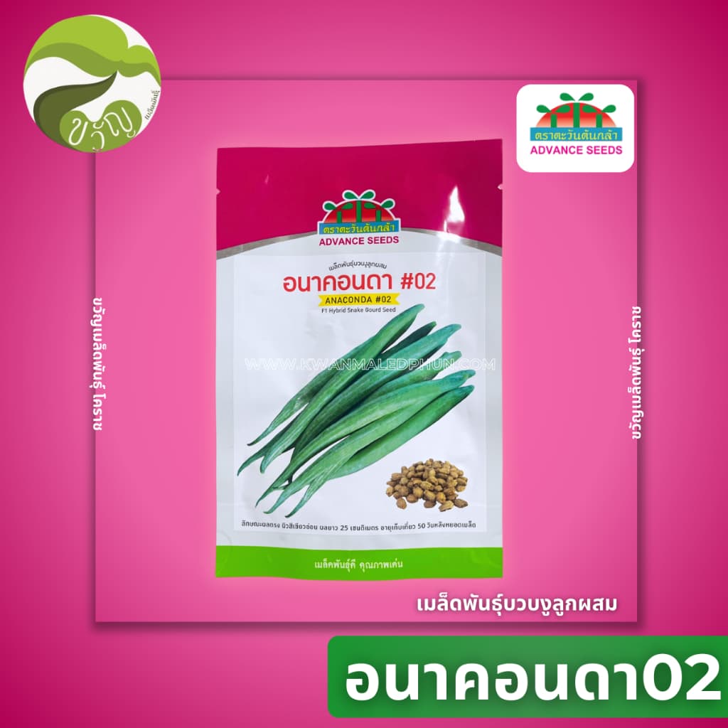 เมล็ดพันธุ์บวบงูลูกผสม บวบงู อนาคอนด้า02 ลอตใหม่ รูปที่ 1
