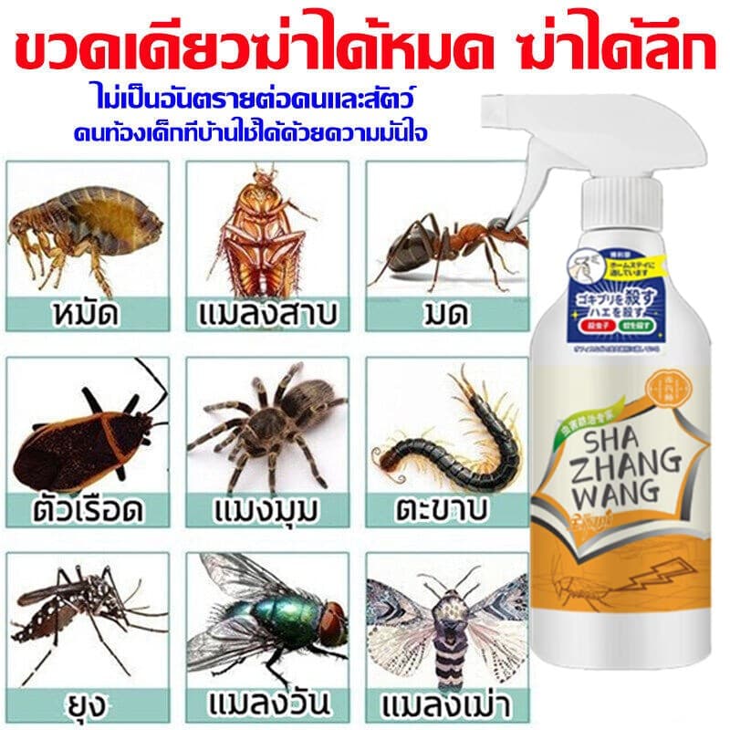 ไม่มีแมลงสาบในบ้านใน 1 ปี นำเข้าจากประเทศญี่ปุ่น สเปรย์กำจัดแมลงสาบ300ml แมลงสาบจะตายหากสัมผัส ไม่มีสี ไม่มีกลิ่น ไม่เหน รูปที่ 4