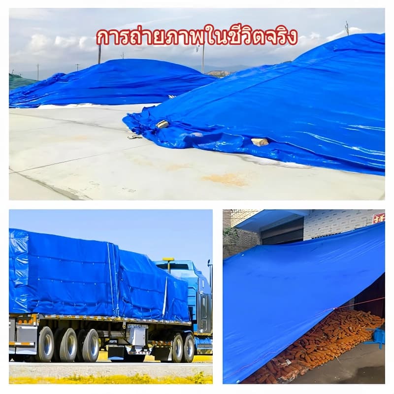 ผ้าใบกันแดดกันฝน ผ้าใบกันฝน ผ้าใบ มีตาไก่ ผ้าใบคลุมรถ แบบเอนกประสงค์ คลุมรถได้ บลูชีท ขนาด2x2 2x3 2x4 3x4 4x5 เมตร รูปที่ 8
