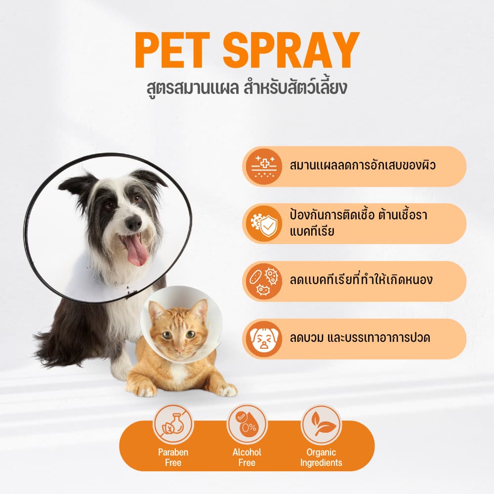 Goodboss Pet Spray สเปรย์สมานเเผลสำหรับสัตว์เลี้ยง ช่วยให้เเผลเเห้งเร็ว ผลิตภัณฑ์ออแกนิค รูปที่ 5
