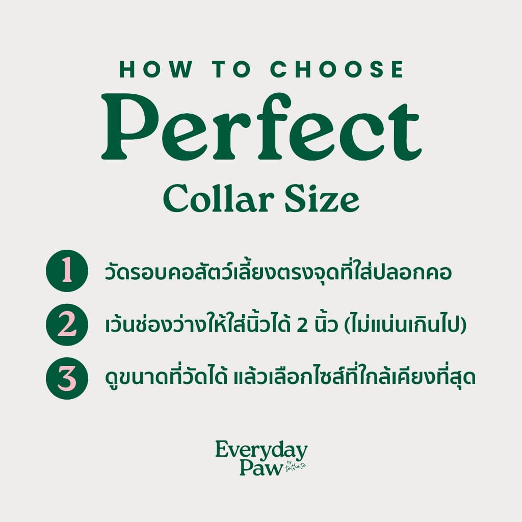 ปลอกคอแมวนิรภัย รุ่น Cat Ramen Collar แบรนด์​ Everyday Paws by TA.THA.TA รูปที่ 7