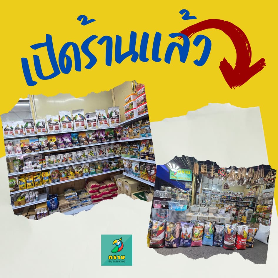 Nutribird B18 ผลไม้อัดเม็ด อาหารนกแก้วขนาดเล็ก รูปที่ 5