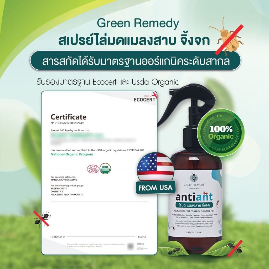 Anti-ANT สเปรย์ไล่มด ไล่แมลงสาบ ไล่จิ้งจก กำจัดปลวก มด จิ้งจก แมลง สูตรออร์แกนิค 100% 250 ml รูปที่ 4