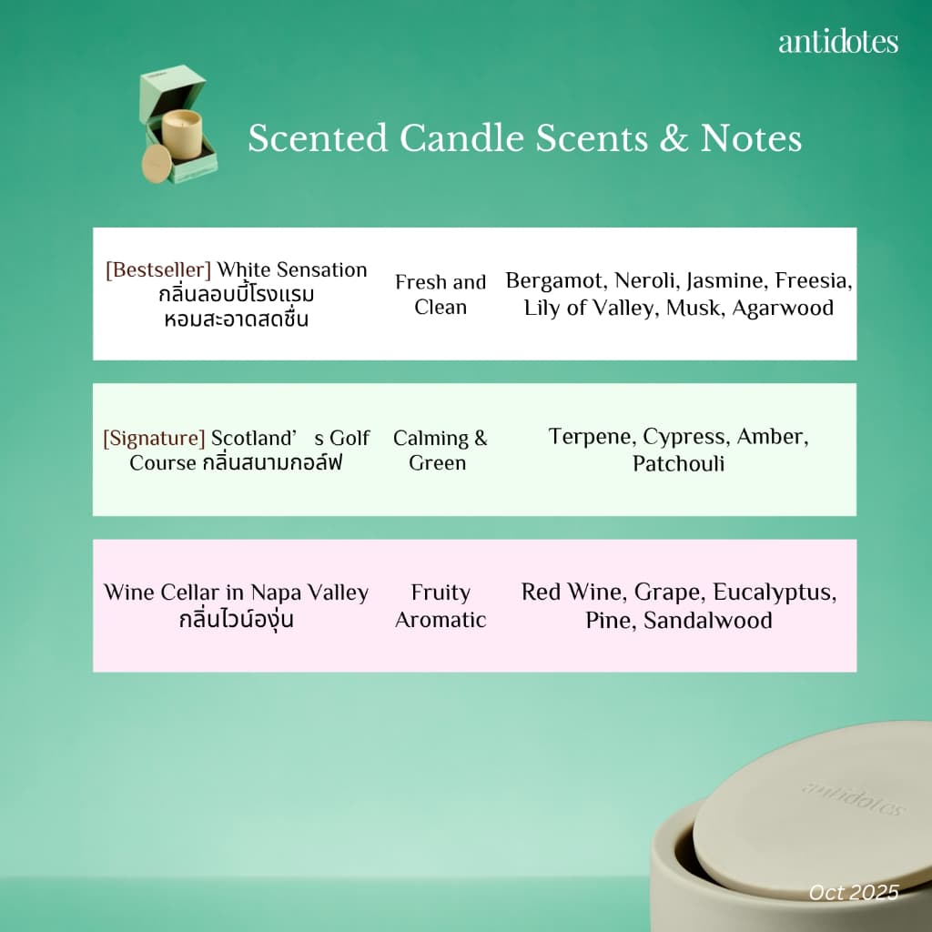 Antidotes Candle 290g | เทียนหอมขนาด 290 กรัม รูปที่ 4