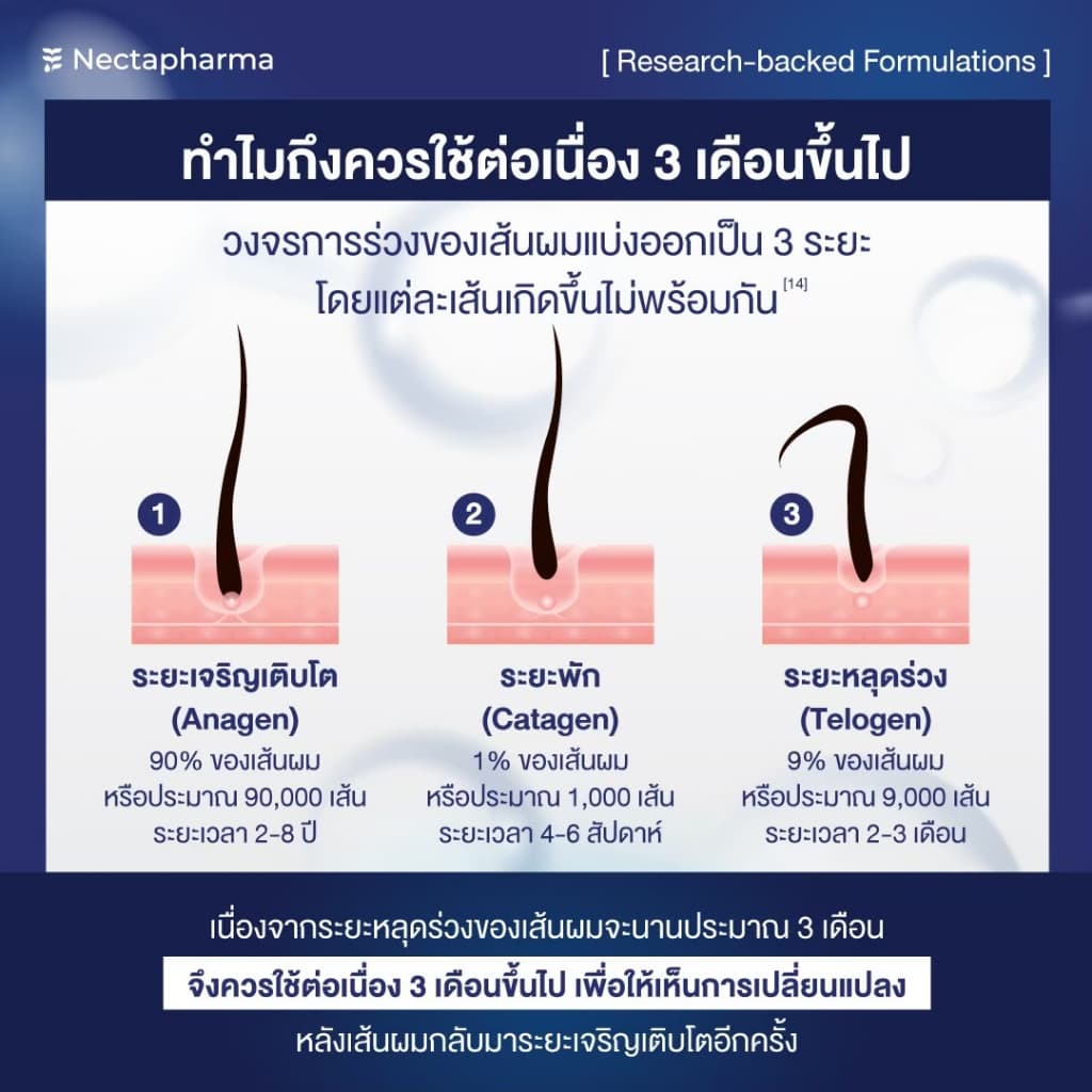 Intensive Hair Serum เซรั่มลดผมร่วง ผมบาง เพิ่มผมใหม่ จาก Nectapharma ใส่ Redensyl Procapil Capixyl รูปที่ 8