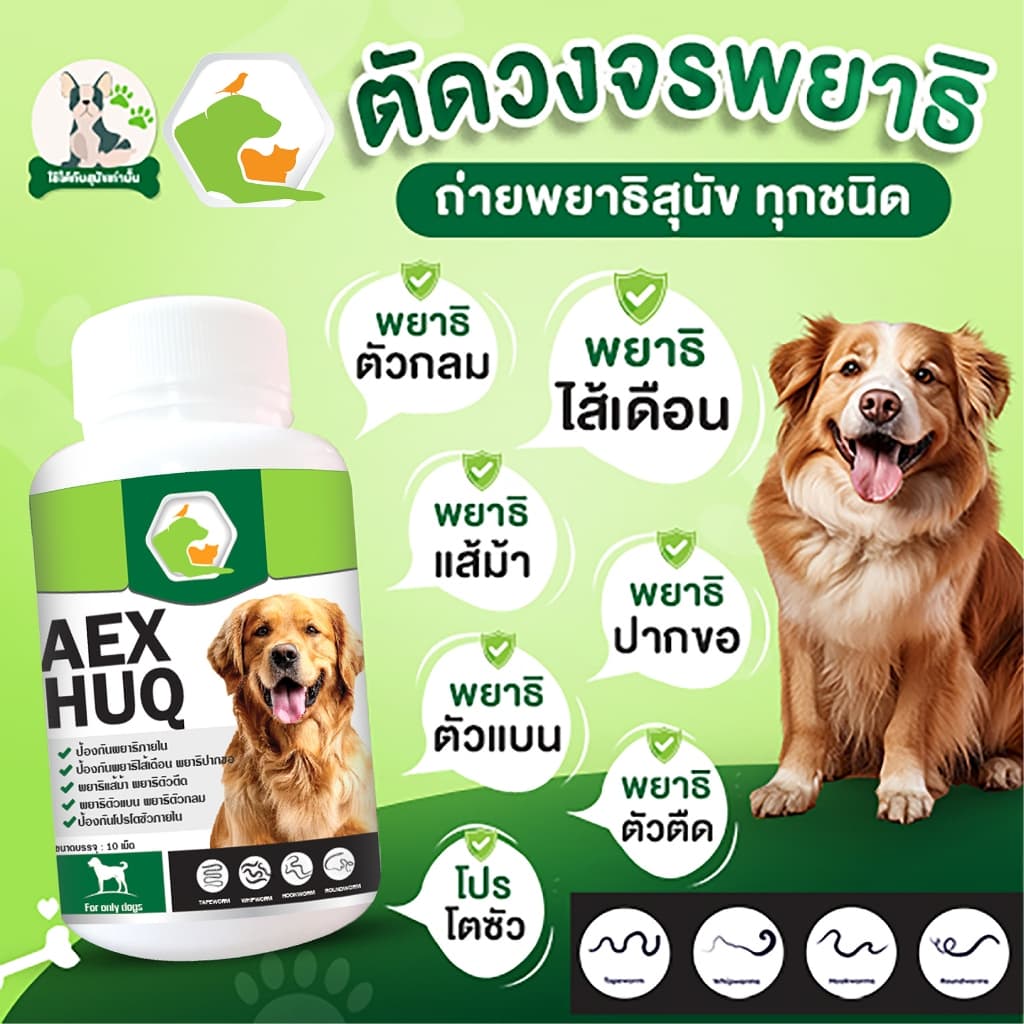AEXHUQ เสริมอาหารสัตว์เลี้ยง สร้างภูมิคุ้มกัน ต่อต้าน ปรสิต พยาธิสุนัข ไข่ปริสิต สูตรสำหรับสุนัข รูปที่ 2