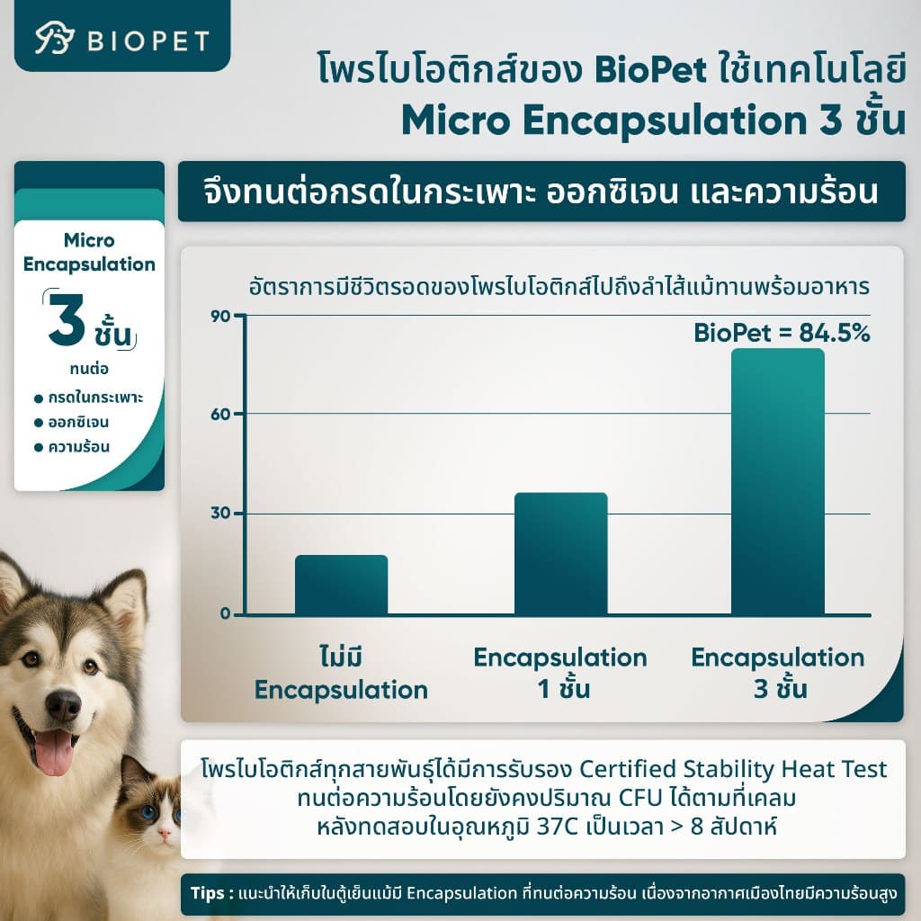 PetFlow โพรไบโอติกของสัตว์เลี้ยง สูตรดูแลระบบขับถ่าย Medical Grade Probiotic รูปที่ 5