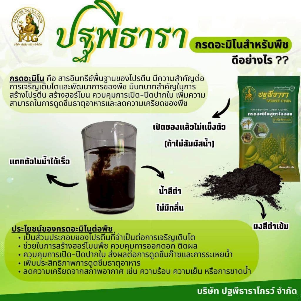 ชุดคู่หูมหัศจรรย์ปฐพีธารา สูตรดั้งเดิม รูปที่ 3