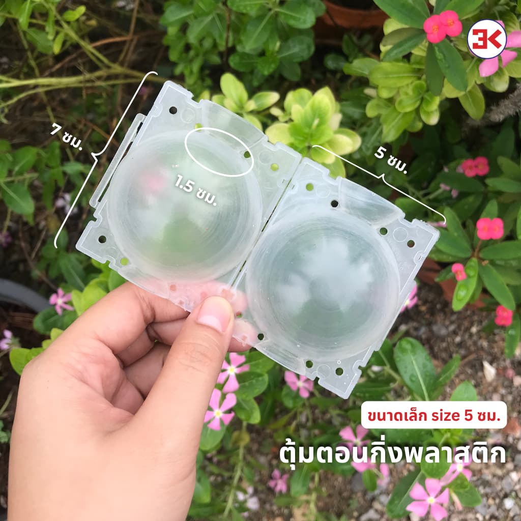 ตุ้มตอนกิ่งพลาสติก ทนแดดทนฝน มี2 ขนาด 5 cm. และ 8 cm. มี 3 สีให้เลือก รูปที่ 5