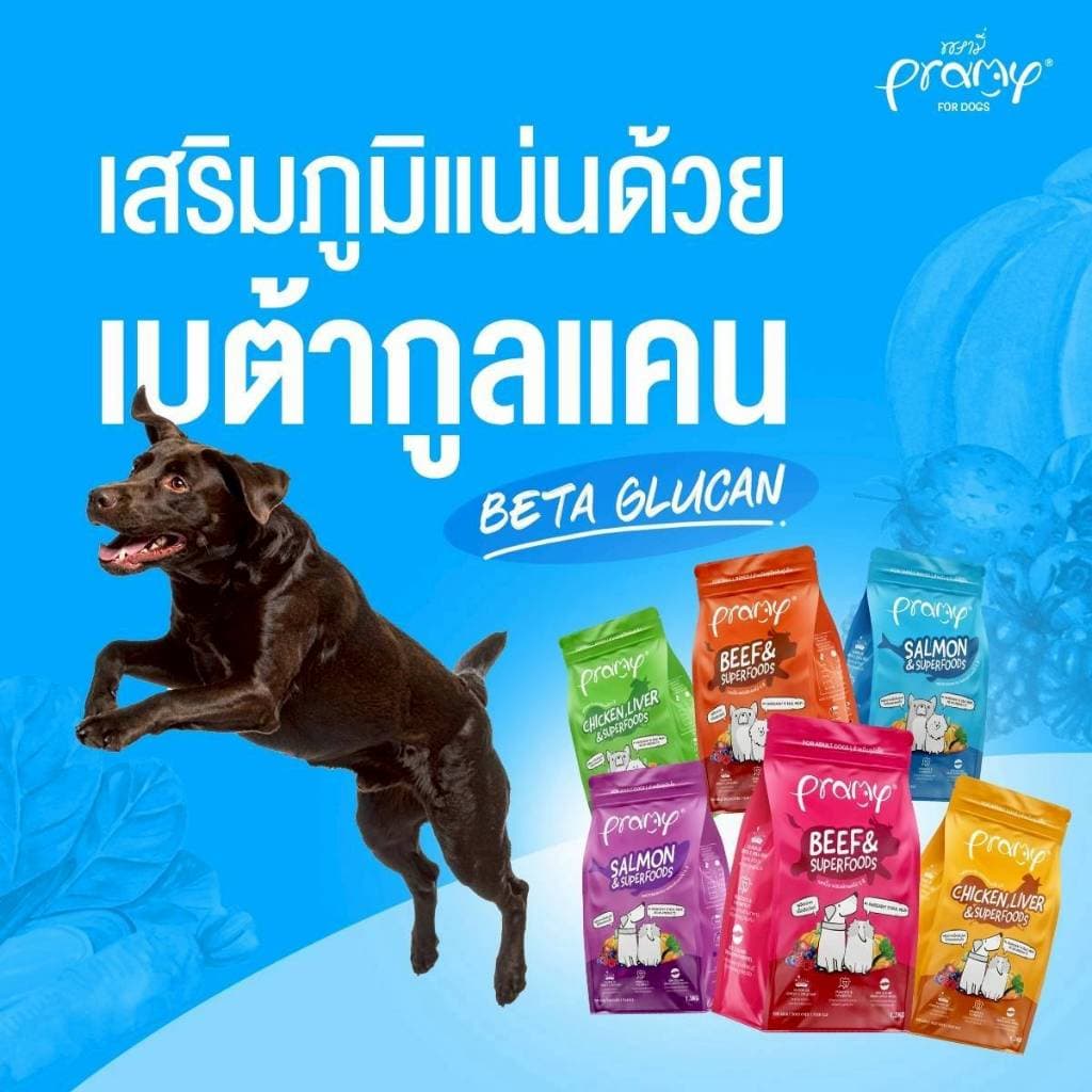 Pramy อาหารเม็ดพรามี่ สำหรับสุนัข สูตรเน้นเนื้อแท้ โปรตีนสูง เสริมสร้างสุขภาพแบบรอบด้าน ขนาด 8-10kg / Pramy Dog รูปที่ 6