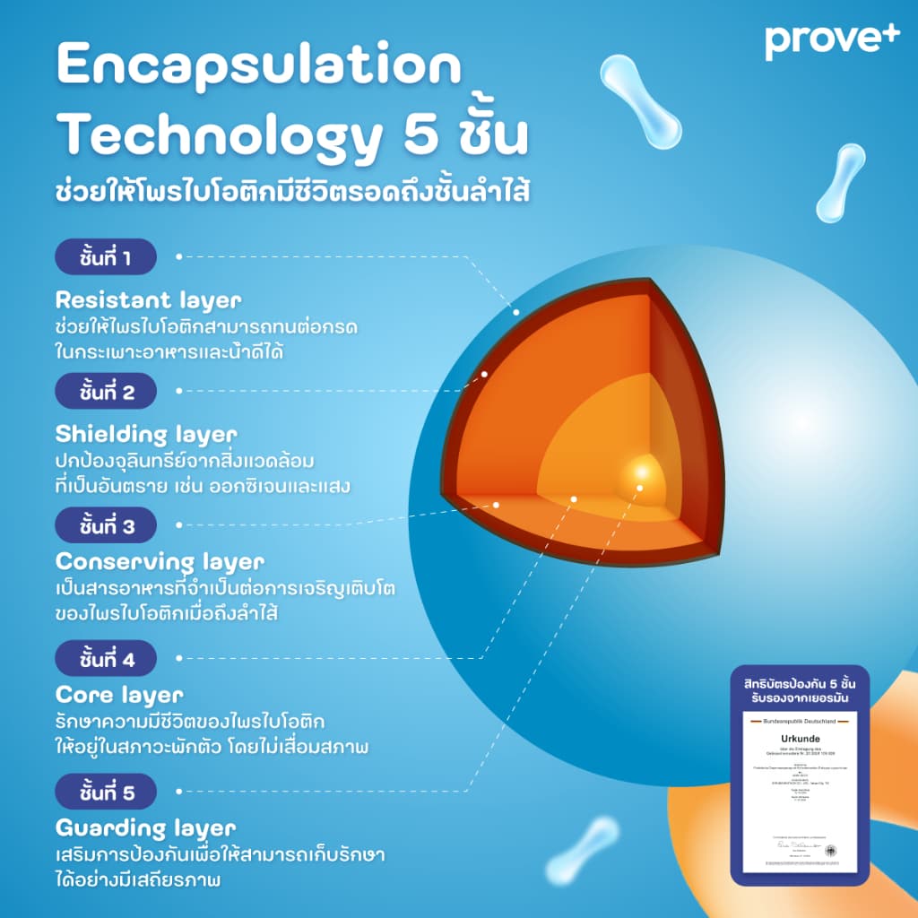 prove+ Synbiotics+VitaminC รสสับปะรด (Probiotic พร้อมทาน ตัวช่วยเรื่องลำไส้ให้มีสมดุลที่ดี) รูปที่ 4