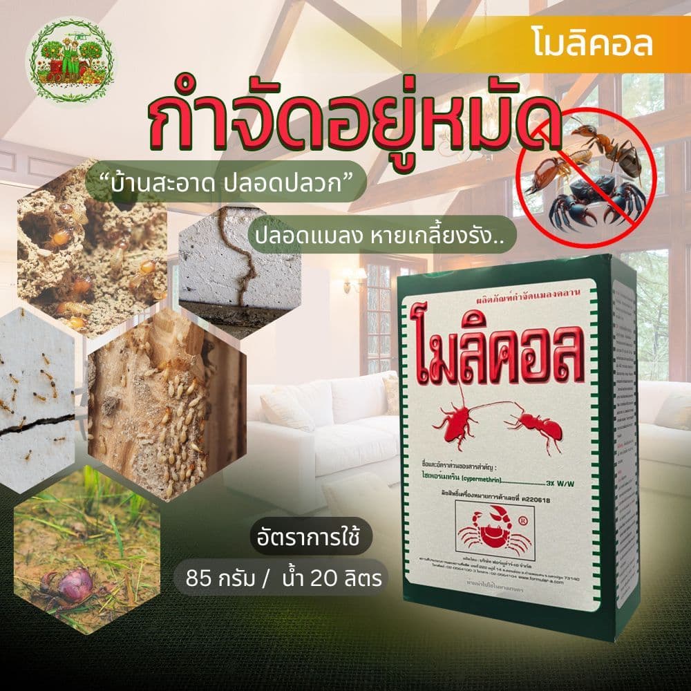 โมลิคอล ชนิดผง สารกำจัดแมลง มด ปลวก ยาเบื่อปู ขนาด 500 กรัม รูปที่ 2