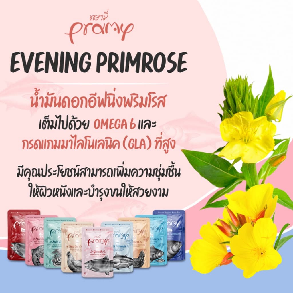 PRAMY พรามี่ อาหารเปียกแมว สูตรลูกแมว สูตรแมวโต สูตรแมวสูงวัย ขนาด 70 กรัม รูปที่ 5