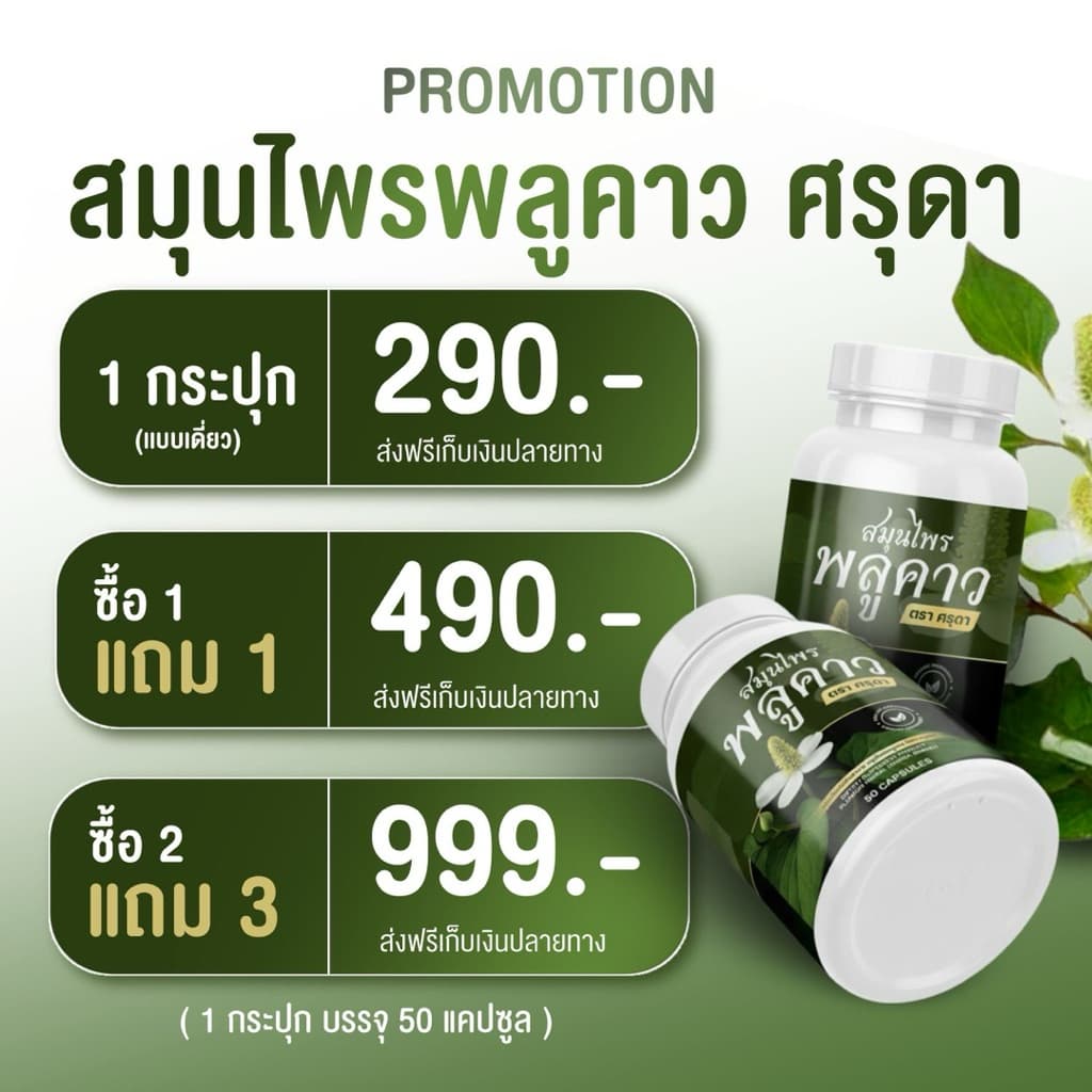 Plukaow plus พลูคาวพลัส ศรุดา 1 กป 50 แคป รูปที่ 8