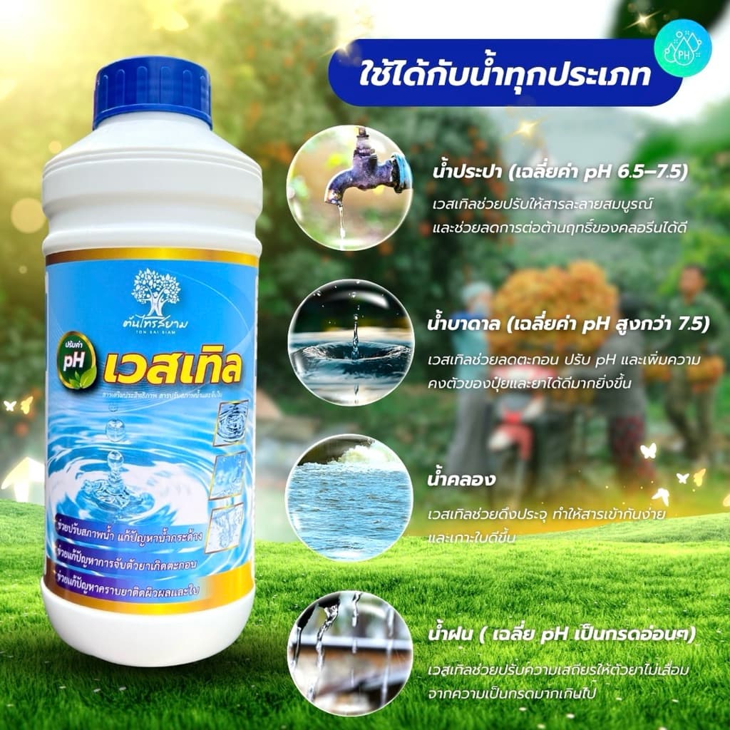 เวสเทิล สารปรับสภาพน้ำ+สารจับใบ ช่วยปรับสภาพน้ำลดการเกิดตะกอน ช่วยเพิ่มประสิทธิภาพสารเกาะติดใบพืชได้ดี ปรับค่า pH ในน้ำ รูปที่ 4