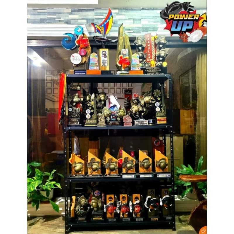 อาหารปลาทอง PowerUp เม็ดจม เร่งสี / เร่งโต เร่งสีโทนดำ ขับลม ครบจบในซองเดียว รูปที่ 7