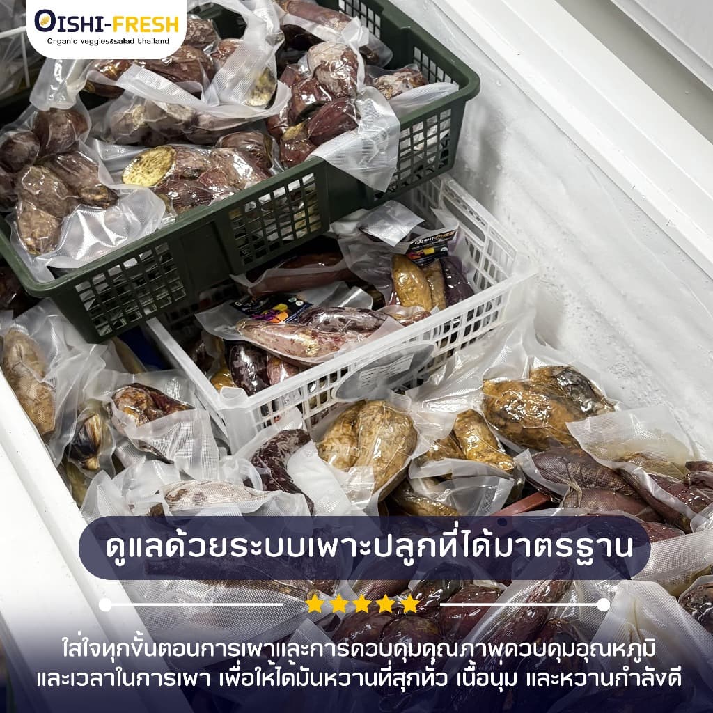 Oishi-Fresh อันดับ 1 มันหวานญี่ปุ่นเบนิฮารุกะ 5 ยี่ห้อเผาพร้อมทาน เนื้อเหลือง หอม หวาน 1 กก.4-6 หัว ก่อนเผา จัดส่ง 24ชม. รูปที่ 4