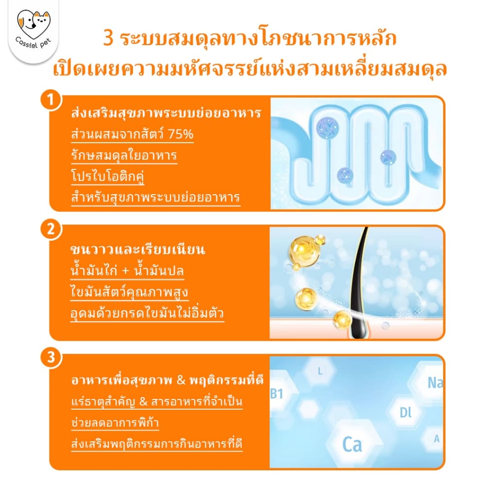 Cassiel pet อาหารแห้งเพิ่มปริมาณสำหรับสุนัข กำจัดคราบน้ำตา และส่งเสริมการย่อยอาหาร แนะนำสำหรับลูกสุนัข รูปที่ 7