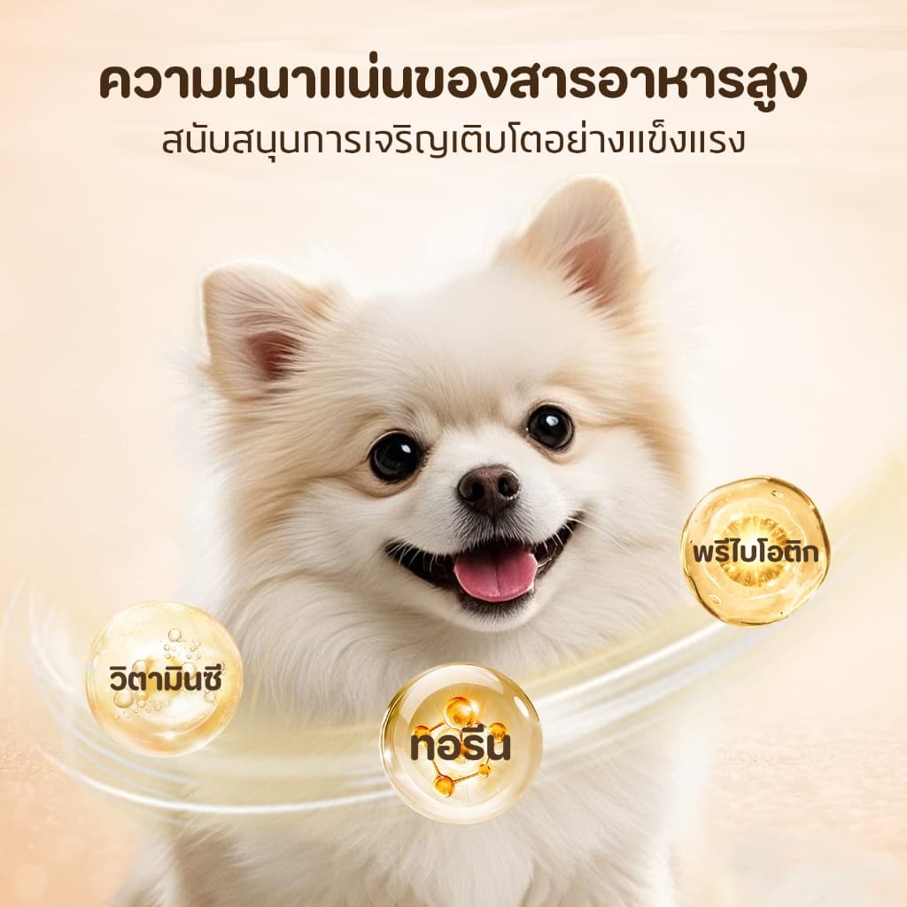 อาหารเปียกสุนัข 130g เนื้อชิ้นใหญ่ 100% โปรตีนสูง+คอลลาเจน เก็บได้ 24 ด รูปที่ 6