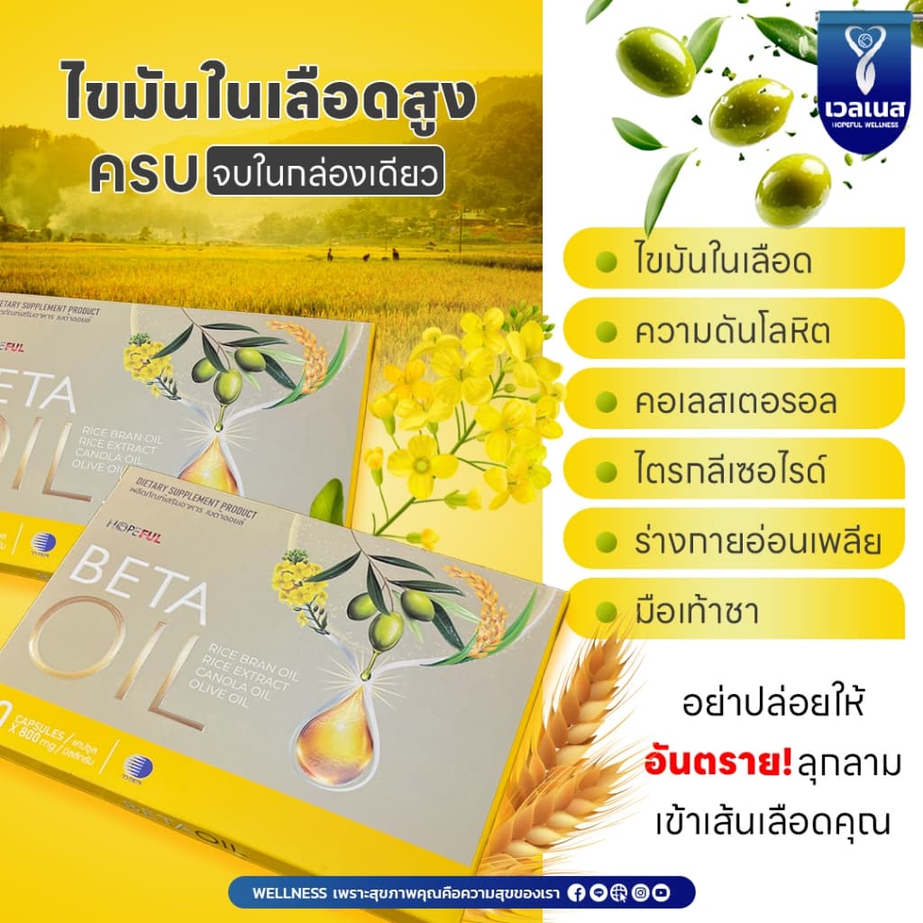 BETA OIL เบต้าออยล์ อาหารเสริมสุขภาพ ปรับระดับไขมันในเลือด คอเลสเตอรอล รูปที่ 7