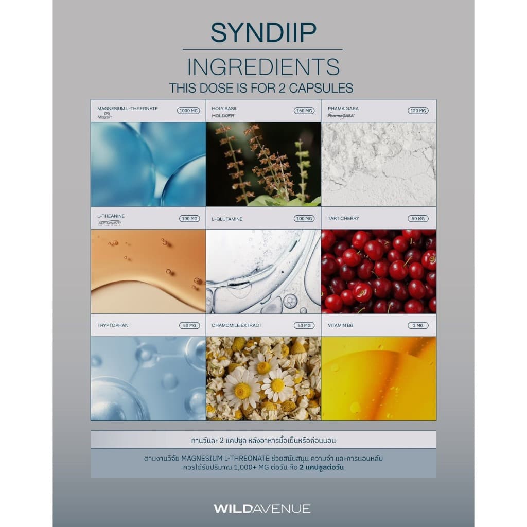 Wild Avenue SYNDIIP วิตามินเพื่อส่งเสริมคุณภาพการนอนหลับ Smart Sleep starts with SYNDIIP รูปที่ 4