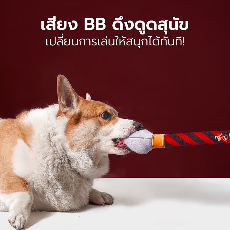 Petstar ไม้ตกแมว ของเล่นแมว Cat teaser wand ของเล่นสุนัข น้ำหนักเบา ช่วยกระตุ้นความสนใจ รูปที่ 6