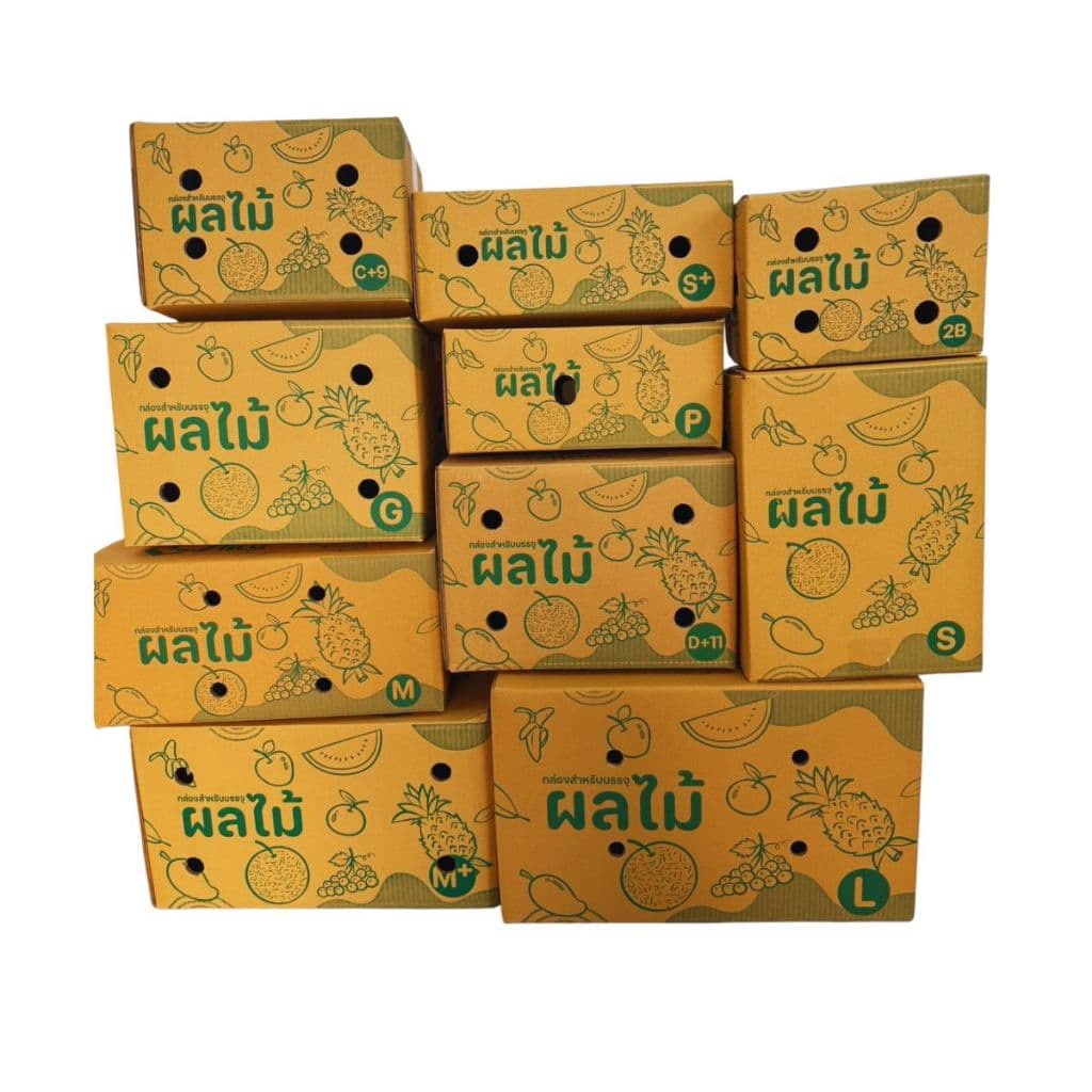 กล่องใส่ผลไม้ อย่างหนา 5 ชั้น กล่องบรรจุผลไม้ 10 ใบ รูปที่ 3