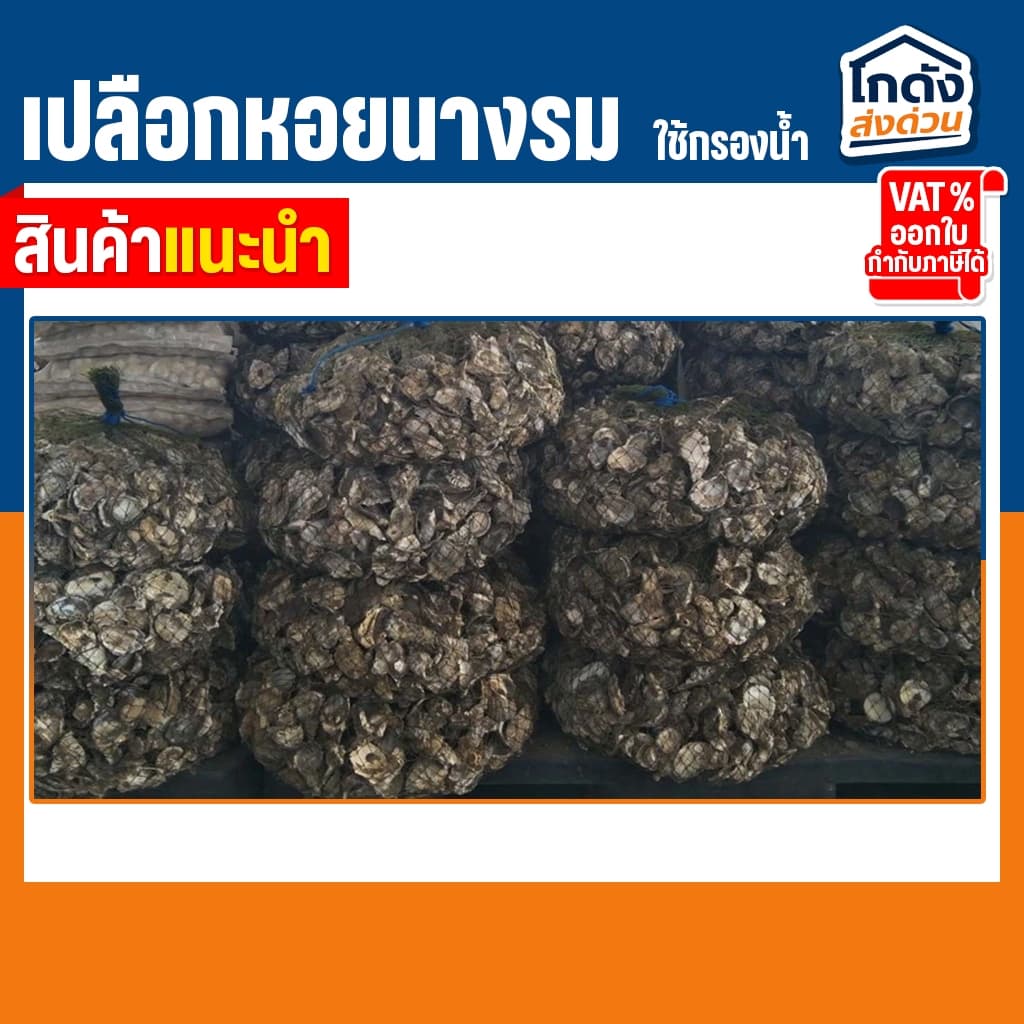 เปลือกหอยนางรม 6 kg.ใส่ถุงตาข่ายอวนเขียว พร้อมใช้งาน รูปที่ 6