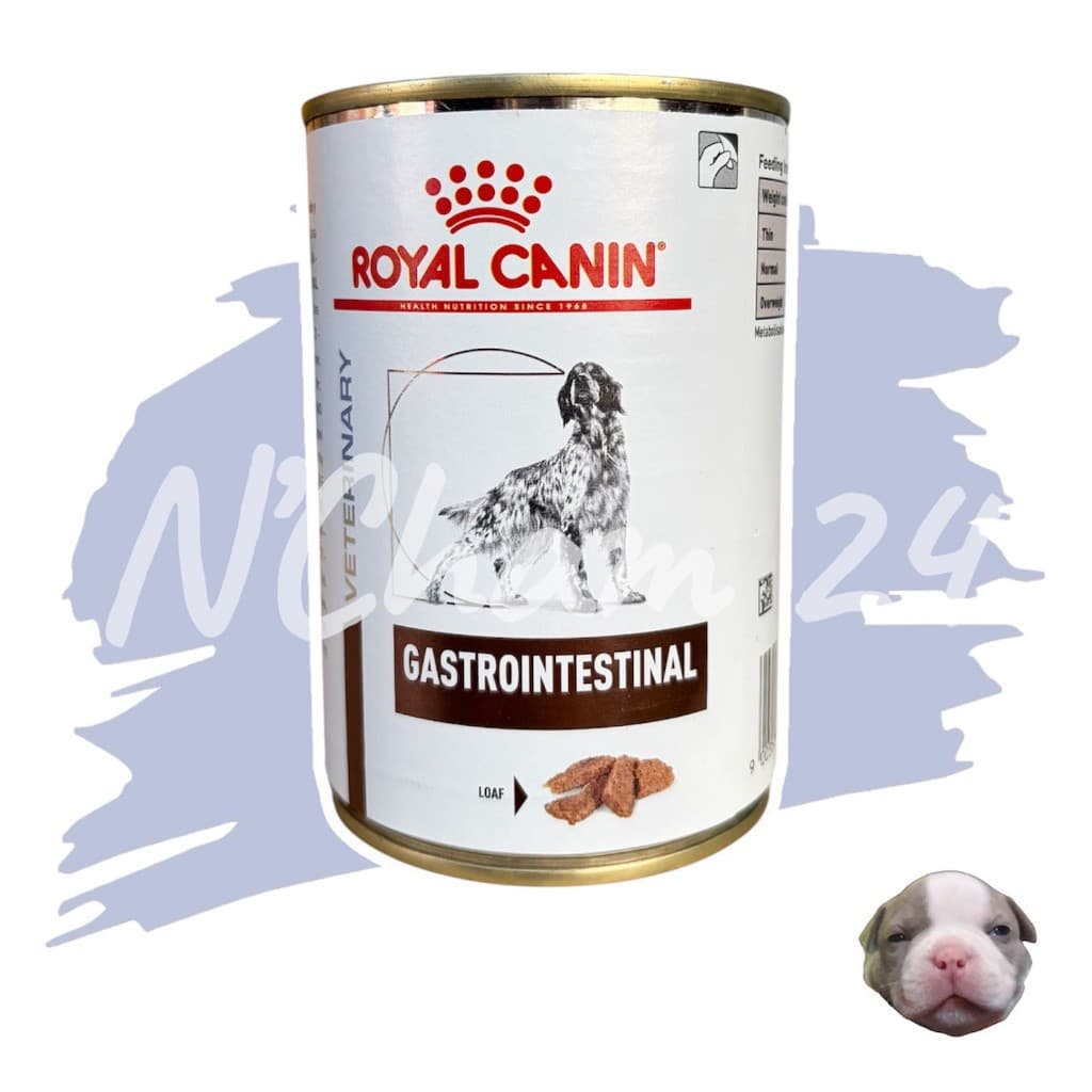 โปรดอ่านก่อนสั่ง Royal Canin Gastrointestinal 400g 1 กระป๋อง อาหารเปียกสุนัข การย่อยการดูดซึมอาหารผิดปกติ 400กรัม รูปที่ 1