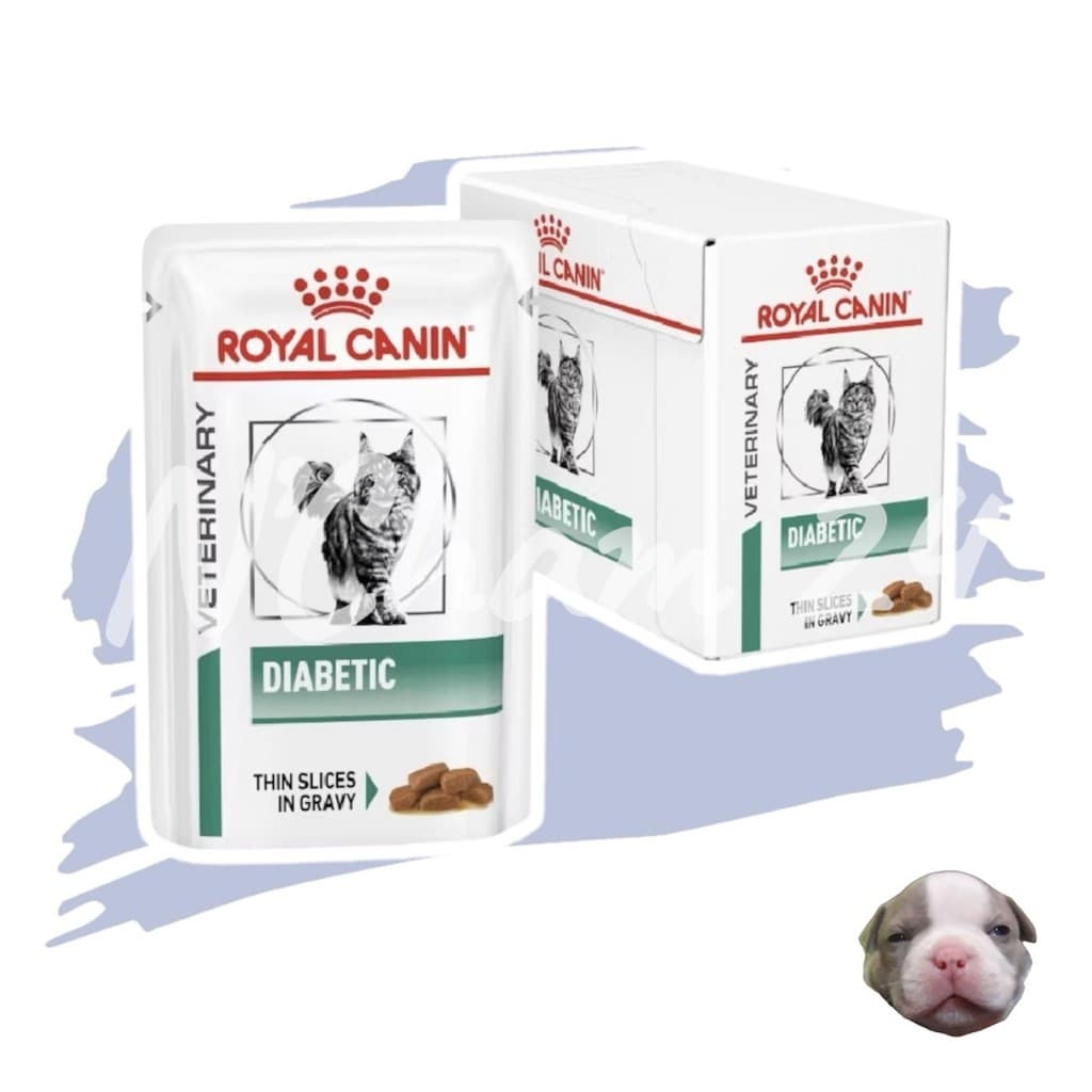 Royal Canin Diabetic Cat Pouch อาหารแมวเบาหวาน แบบเปียก ขนาด 85 กรัม รูปที่ 1
