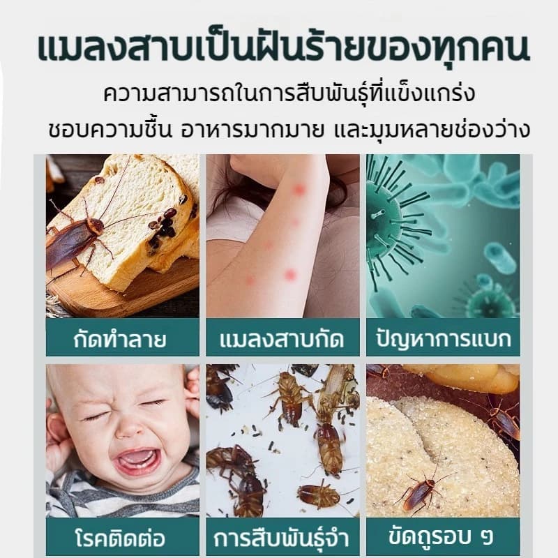 Beauty เจลฆ่าแมลงสาบ 8 เม็ด/กล่อง 1 เจลกำจัดแมลงสาบ ฆ่าแมลงสาบ ฆ่าทั้งรัง ล่อแมลงสาบ กาวน์ดักแมลง ป้องกันแมลงสาบ รูปที่ 2
